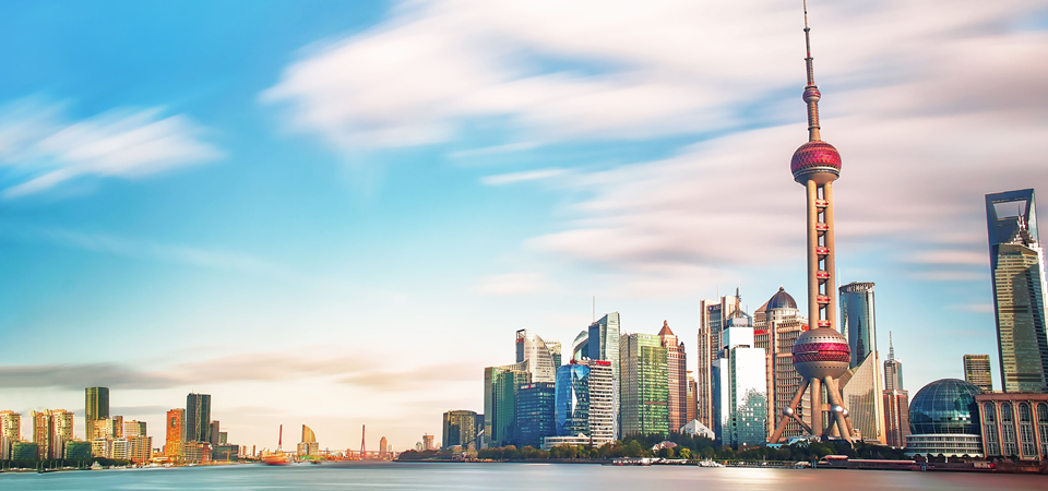 上海市政护栏项目